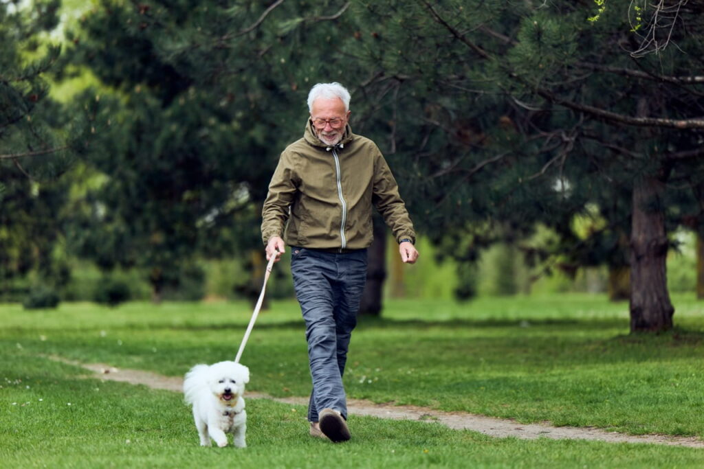 Older man walking his dog outside