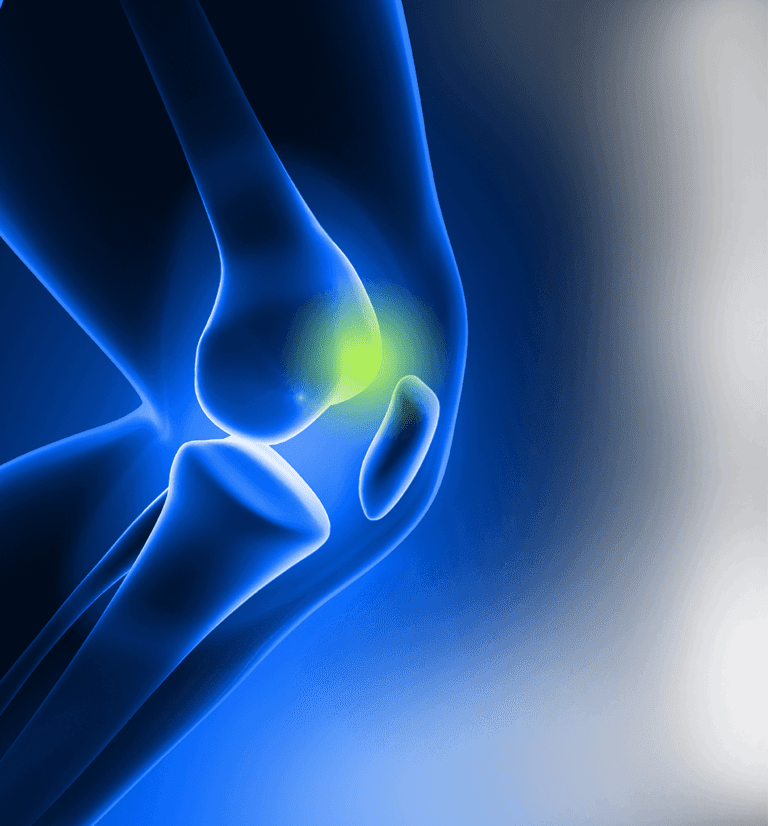 knee joint illustration