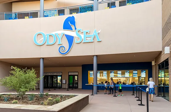 odysea aqaurium